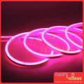PINK LED strip Flexible NEON Rope Light Waterproof LED Neon Lights decoration with 220V adapter. 