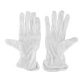 Cotton Gloves - Virus Protection & Mobile Touch Freindly (Washable). 