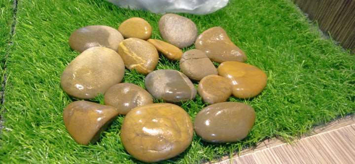 small%20Pebbles/%20Stones%20for%20Garden%20and%20Aquarium%20%201%20kg%20pack%20-%20Image%203