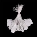 100X Labels Tie String Strung Price Tickets Jewelry Watch Clothing Display Tags. 