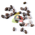 Organic Chia Seeds For Weight Loss 110gm / Fresh Chia Seeds Rich In Vitamins Omega & Calcium For Health_And_Beauty Brand Spices pk. 