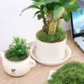Moss Grass Turf Lawn Artificial Moss Green Fake Plant for Home Garden Wall DIY Micro Landscape Decoration. 
