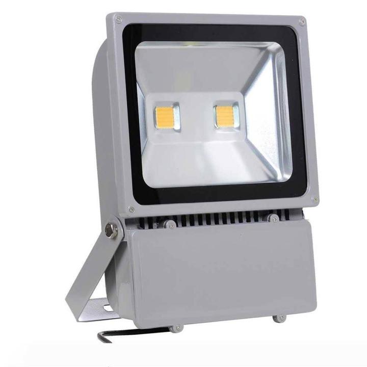 LED Flood Light 100W