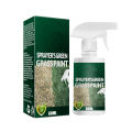 Lawn Spray Paint Eco-Friendly Green Gr Spray Paint Colorant. 