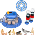 8 Eggs Intelligent Round Full Automatic Incubator Dual Supply AC-DC. 