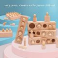 Toy | Montessori Toys Knobbed Cylinder socket | Educational  Wooden cylinder socket blocks puzzle | Early Education sensory toy shape sorter for home or birthday gift for kids | In best quality. 