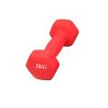 2 KG one Matte Coated Dumbbell Yoga Fitness Exercise Training Weights Red Color. 