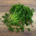 Parsley Herb seeds. 