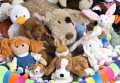 Stuff toys for kids - Soft toys - Small, Medium, Large, XL sizes [Pack of 1]. 