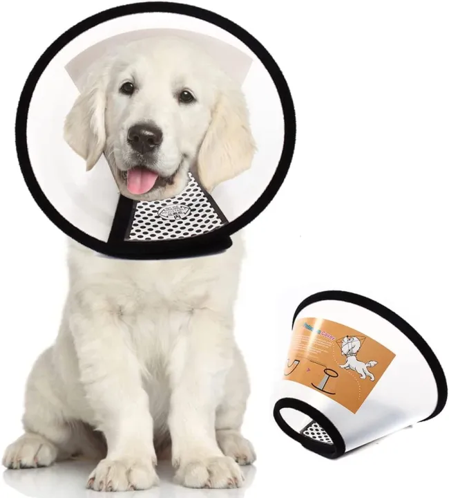 E%20collar%20For%20Dogs/Cat%20Plastic%20Cone%20for%20Dogs%20After%20Surgery%20-%20Image%205