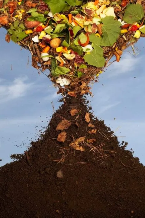 5kg%20premium%20Bonemeal%20BIGBAGH%20ORGANIC%20fertilizer,%20Highly%20nutritional%20fertilizer,%20%7C%7C%20fruiting%20and%20flowering%20%20for%20plants%20-%20Image%209