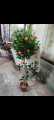 Artificial Flowers & leafs Plant big size 7 foot. 