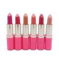 Pack Of 6 Matte Lipsticks Box. 