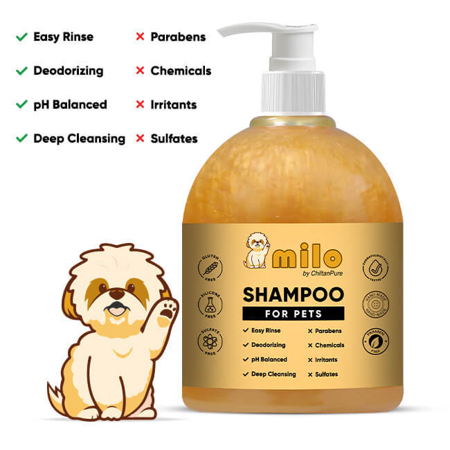 Anti shedding dog shampoo best sale