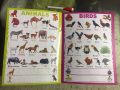 Write and Wipe ABC 123:  Early Learners (Write and Wipe) BOOK.. 