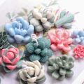 NYT 4 Pcs Candle Silicone Moldssucculent Cactus Plants Resin Casting Mold For Making Diy Candle Soap And Epoxy Resin Crafts. 