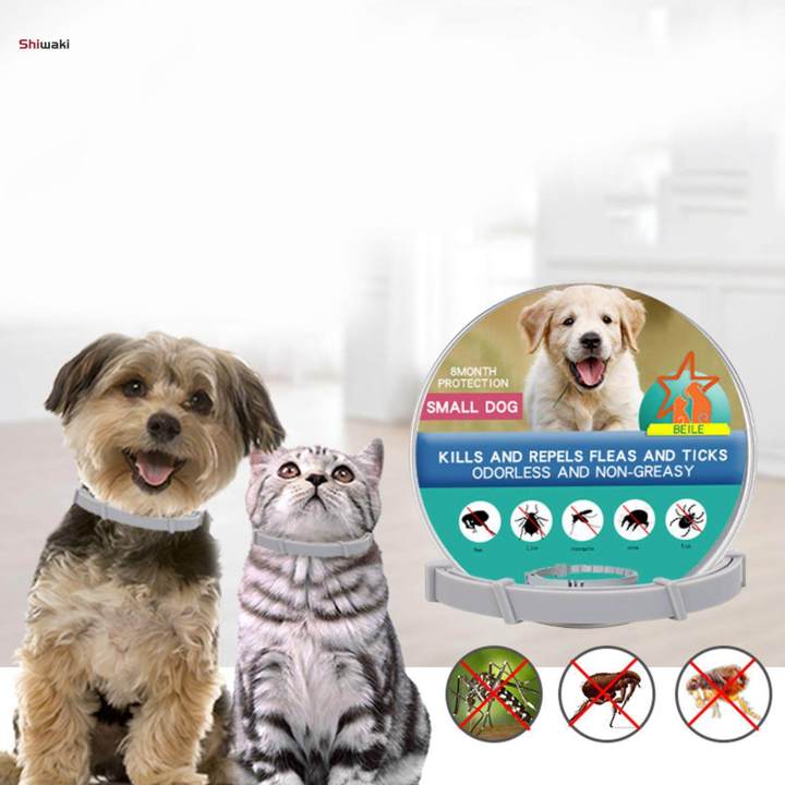 Anti%20Flea%20and%20Tick%20Neck%20Kitten%20Portable%208%20Months%20Protection%20Dogs%20Flea%20Collar%20-%20Image%204
