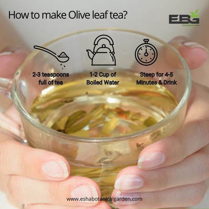 Organic%20Olive%20Leaf%20Tea%2050g%20-%20Image%206
