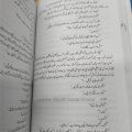 Udaas Naslain Novel By Abdullah Hussain. 