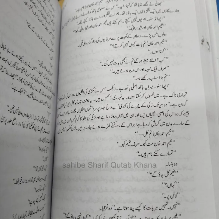 Udaas%20Naslain%20Novel%20By%20Abdullah%20Hussain%20-%20Image%204