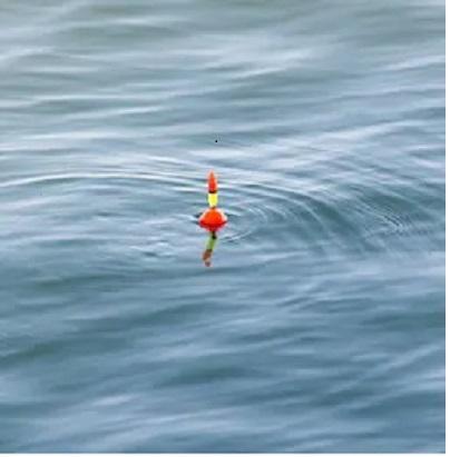 Fishing%20Float%20Different%20Types%20of%20Fishing%20Float%20-%20Image%203