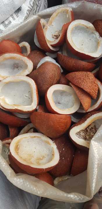 COCONUTS%201%20KG%20high%20quality%20-%20Image%202