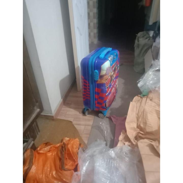 Hard Sided Luggage Trolley Bag for Kids Sweet Girl Princess Sofia Rolling Luggage Suitcase /Kids Travel Trolley Bag