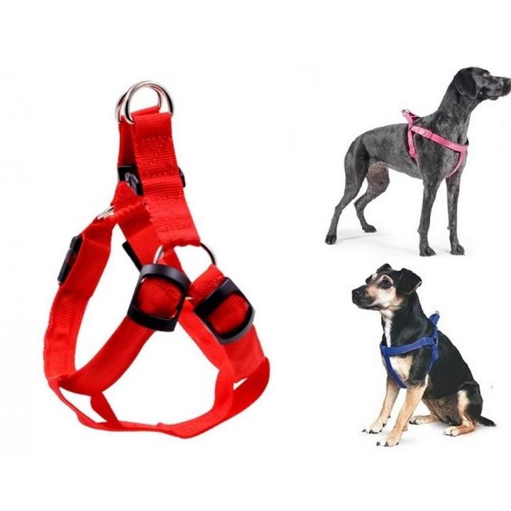 DM INTL Pets Dog Neck Chest Harness Soft Collar Nylon Imported Quality Leash Bone Reflective