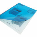 (High Quality) A4 Binding Sheets for Books – Transparent & Blue Binding Cover Sheet, Book Binding Sheets, Hard Binding Sheets, Xray Sheet & Book Covers Price in Pakistan (100 Pcs). 