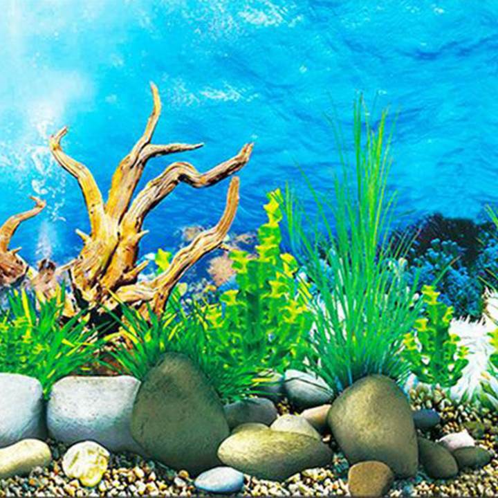 FLYEER%20Aquarium%20background%20paper%20HD%20picture%203d%20three-dimensional%20fish%20tank%20wallpaper%20background%20painting%20double%20sided%20aquarium%20decorative%20fish%20tank%20sticker%EF%BC%8840*82cm%EF%BC%89%20-%20Image%205