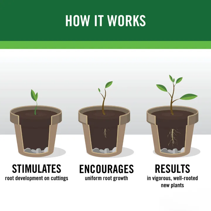 Rooting%20Hormone%20Powder%20for%20Plants%20by%20Moji%20Mall%20%E2%80%93%20Enhances%20Root%20Development%20for%20Cuttings%20%E2%80%93%20Suitable%20for%20Violets,%20Azaleas,%20Roses,%20Geraniums,%20Coleus,%20Orchids,%20and%20Various%20Indoor%20&%20Outdoor%20Plants%20-%20Image%205