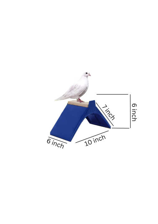 Pigeon%20Perch,%20Bird%20Rest%20Stand,%20Perch,%20Stand,%20Pigeon(pack%20of%2012)%20-%20Image%205