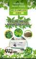 3 BOX Tiens/ Tianshi Lipid Metabolic Tea (0.5g×40 tea bags/box) new packing fresh stock. 