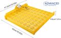 56 Eggs Mini Incubator Hatcher Automatic Egg Turning Tray Tool with Motor Convenient and Safe Egg Incubator Hatching poultry like chickens, ducks and so on. Also hatching birds like quail, parrots,. 