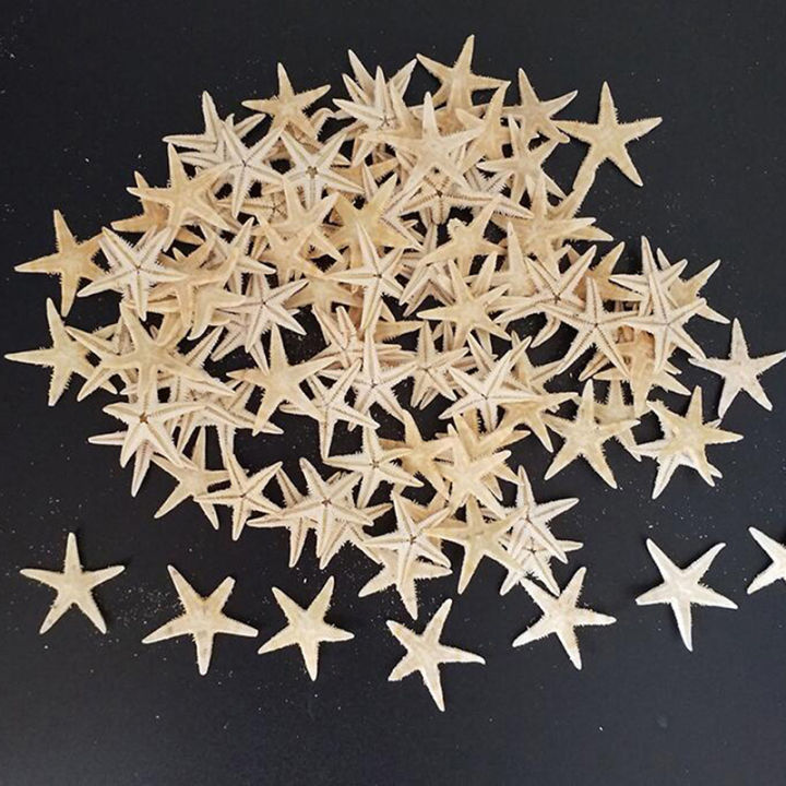 Sea shells size:0.5-3cm 100pcs Mini Starfish Craft Decoration Sea Stars
 ZH