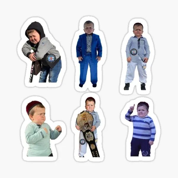 hasbulla 5PCS Stickers for Art Kid Window Luggage Stickers Water Bottles Room Cute Decorations Funny Anime Laptop