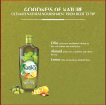 VATIKA HAIR OIL OLIVE 100ML  | 200ML | 300ML. 