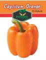 F1 Hybrid Capsicum mix , Sweet Pepper ,  Bell Pepper 18 seeds in one Pack Red , Yellow , Green , Purple , Orange , Cream, Colors Shimla Mirch 18 Seeds. 
