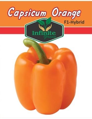 F1%20Hybrid%20Capsicum%20mix%20,%20Sweet%20Pepper%20,%20%20Bell%20Pepper%2018%20seeds%20in%20one%20Pack%20Red%20,%20Yellow%20,%20Green%20,%20Purple%20,%20Orange%20,%20Cream,%20Colors%20Shimla%20Mirch%2018%20Seeds%20-%20Image%208
