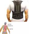 Posture Corrector Belt Back and Shoulder Relief. 