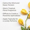 Plant Therapy Ylang Ylang Complete Essential Oil. 