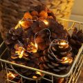 Lights4fun Festive Lights 20 LED Battery Powered Micro Fairy Lights with Silver Wire (Warm White). 