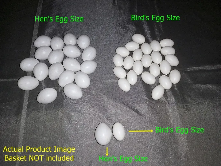 (9%20or%2018%20Pcs)%20Artificial%20Plastic%20Eggs%20-%20Dummy%20eggs%20of%20Bird%20-%20Bird's%20Egg%20Size%20Plastic%20Hollow%20Shell%20-%20Image%2010