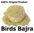 Bajra For All Birds - 5KG. 