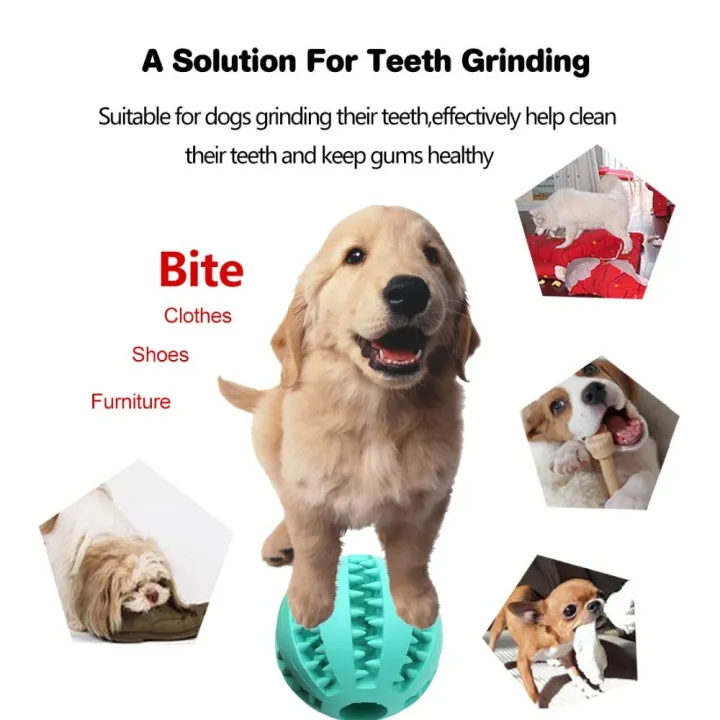7CM%20Pet%20Dog%20Toys%20Ball%20Nontoxic%20Chew%20Bite%20Resistant%20Toy%20Bouncy%20Rubber%20Balls%20Ball%20for%20Pet%20Dogs%20Dog%20Food%20Treat%20Feeder%20Tooth%20Cleaning%20Ball%20pet%20-%20PS406%20-%20PS-TO%20-%20Image%202