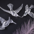 [Featured] Transparent Crystal Acrylic Bird Hummingbird Ceiling Wall Hanging Ornaments / Wedding Party Stage Background Flying Bird Decor. 