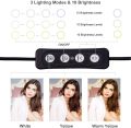Petdal 8 inch LED Ring Light With Tripod Stand and Phone Holder, Dimmable 3 Color Modes & 10 Brightness USB Powered Desk Selfie Makeup Ring Light for Live Streaming, YouTube, Video Shooting, Vlog. 