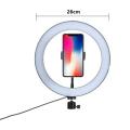 Selfie Ring Light 26Cm Big Selfie Ring Led Ring Light For Live Stream Tiktok Ring Light With Stand. 