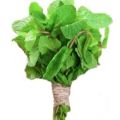 Daraz Fresh: Peppermint (Pudina) 1bundle. 