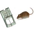 Rat Mouse Trap Catcher for Home Use. 